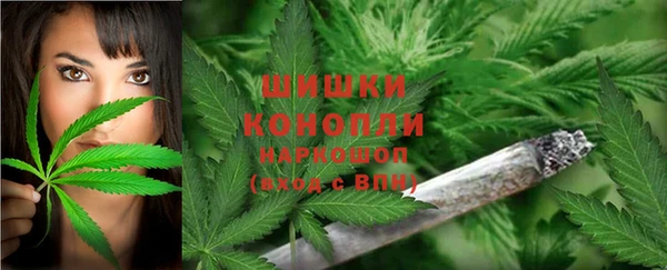 молекула духа Магас